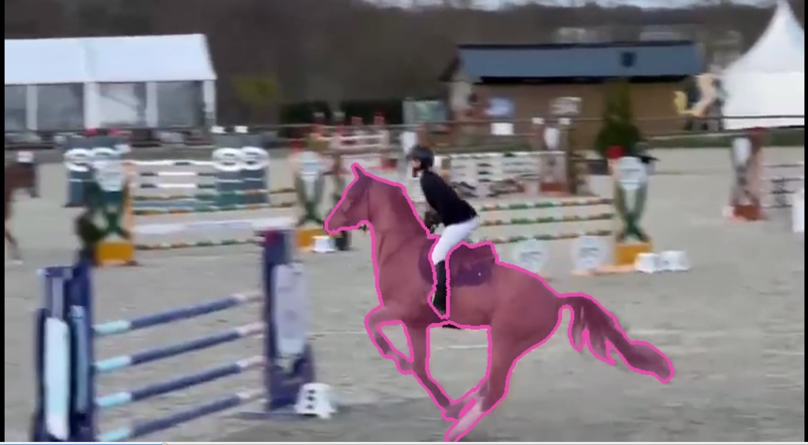 Horse mid-jump with SAM3 segmentation mask outline